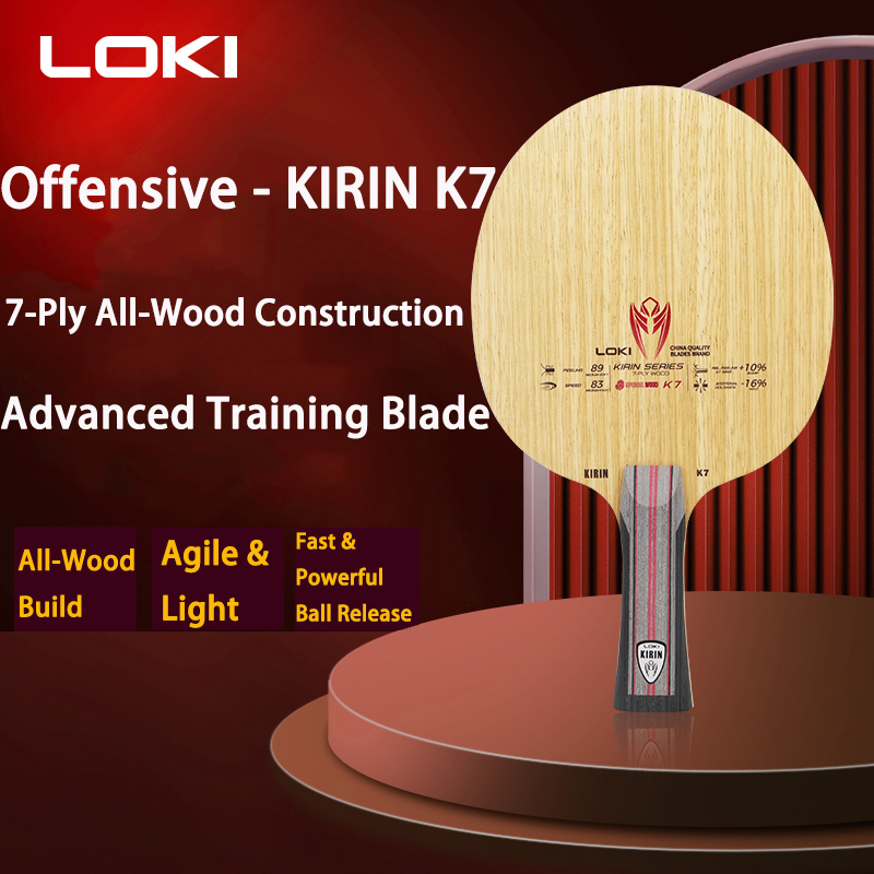 LOKI - Raqueta de Tenis de Mes - Table Tennis Racket reseña y precio